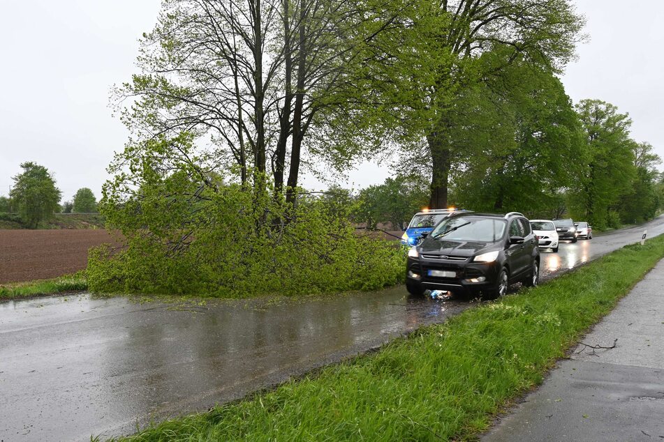 In Pulheim sorgten abgeknickte Bäume für Verkehrsbeeinträchtigungen.