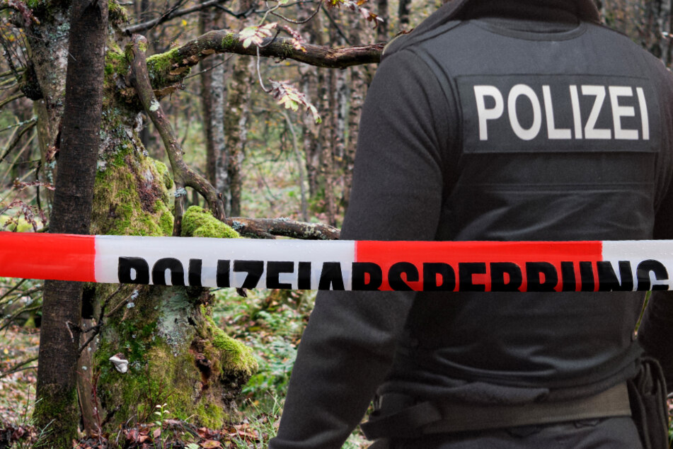 Erst kürzlich wurden in einem Wald in Rheinland-Pfalz menschliche Überreste entdeckt (Symbolbild).