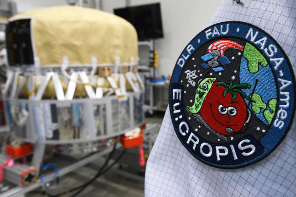 Die Forscher haben sich ein freches Missionslogo gegeben.