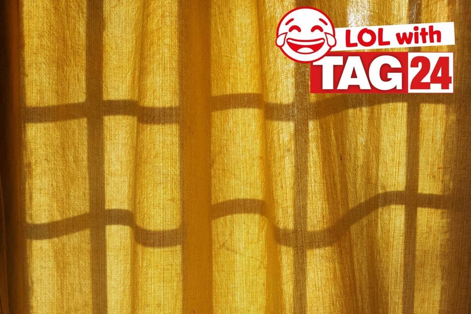 Joke of the Day for December 11, 2025: A punny funny for you.