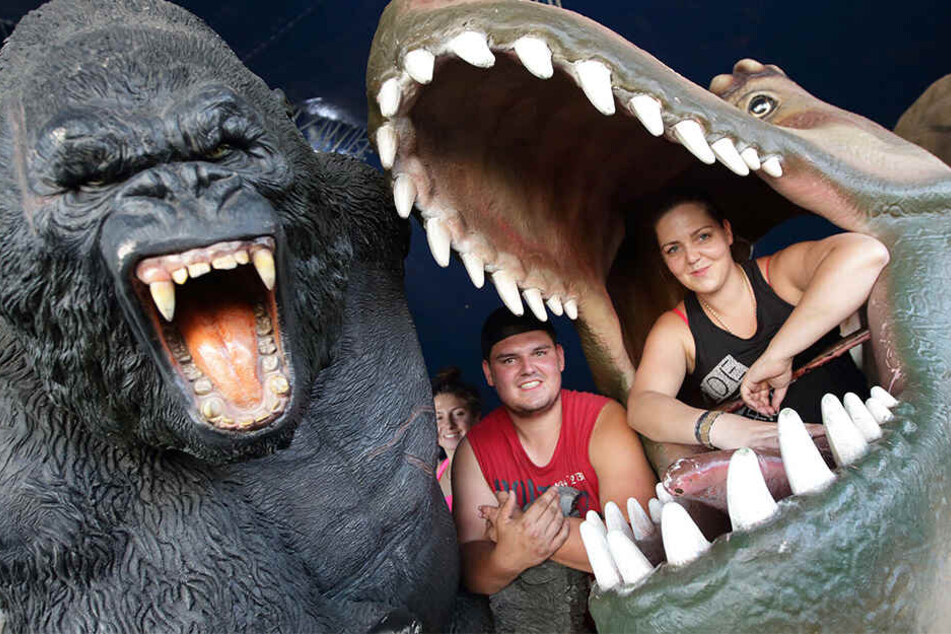 Dinosaurier und andere Urzeit-Tiere gibt's auf der "Jurassic Expo" auf dem Platz an der Festhalle in Plauen zu bestaunen.