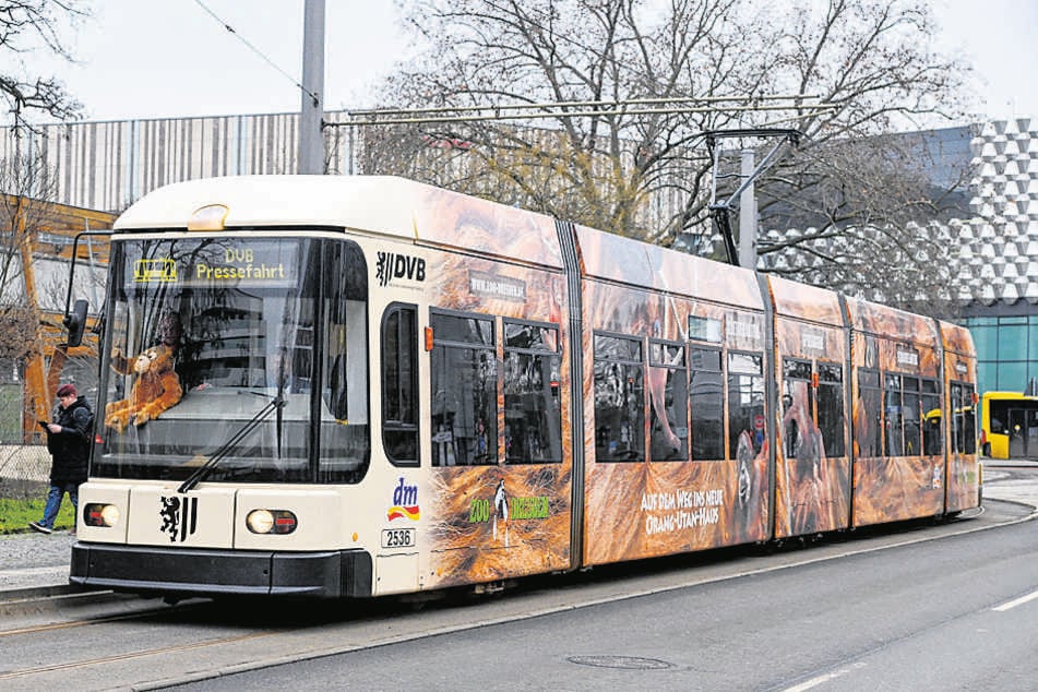 Tierische Aufmachung: Auf dieser Bahn warb 2023 der Dresdner Zoo, auch die Drogeriekette dm hatte sich hier Werbefläche gesichert.