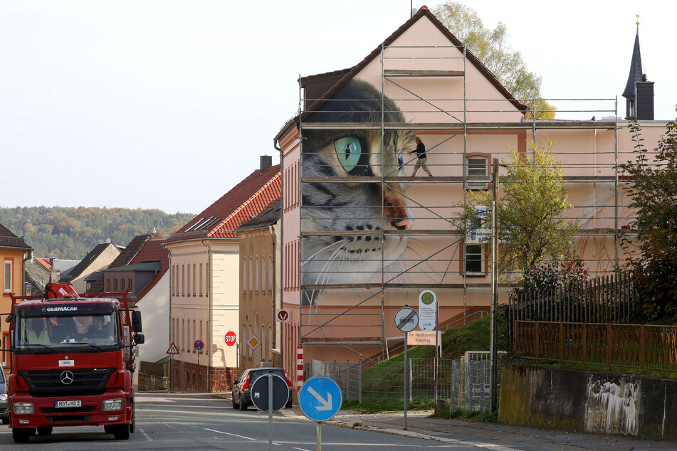Blickfang in der Altenburger Straße: Ein Tierarzt gab das tierische Werbebild in Auftrag.