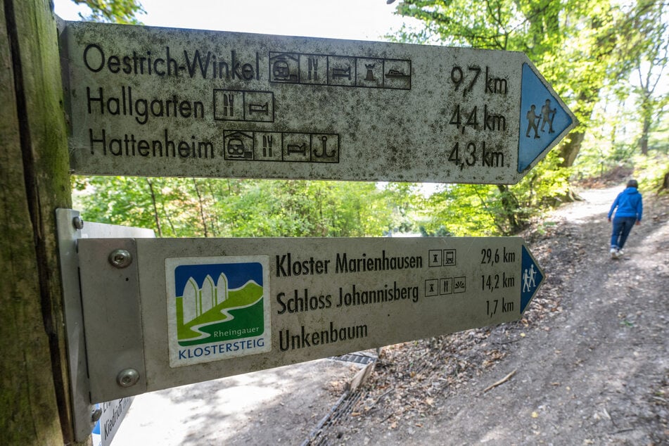 Wandern macht Spaß - und ist auch noch gut für die Gesundheit. In Hessen gibt es zahlreiche Möglichkeiten.