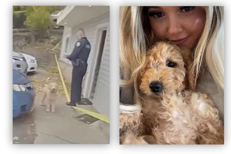 Kaylees Hund "Murphy" befand sich zum Tatzeitpunkt im Haus und wurde Zeuge des Verbrechens.