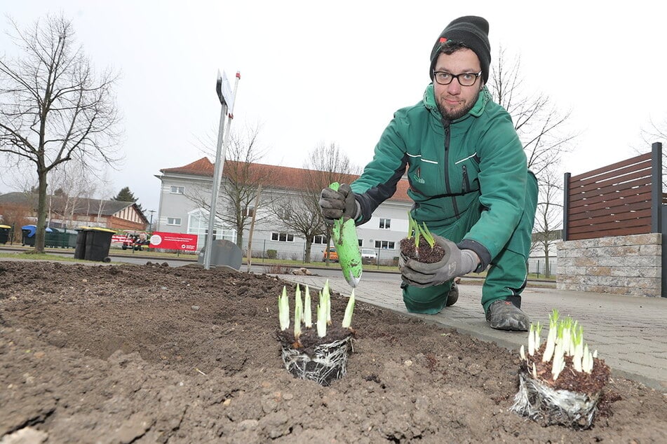 Hier wirst Du zum Team-Captain im Garten- und Landschaftsbau