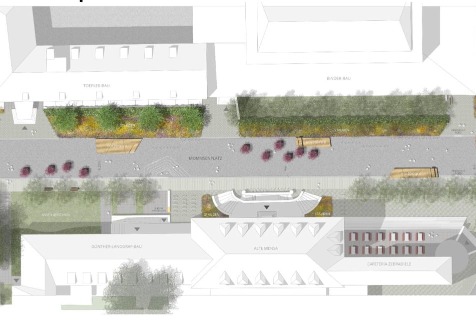 Neue Sitzflächen, Beete, Kübel: So will die Uni "ihre" Mommsenstraße zwischen Helmholtz- und Düfferstraße umgestalten.