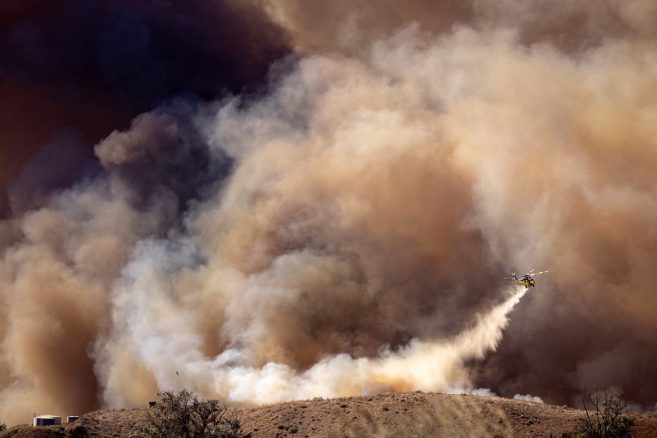 The brain is the most vulnerable to the hazards of wildfire smoke.