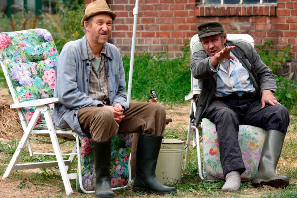 Die eigenwilligen und liebenswerten Bauern Kurt Brakelmann alias Jan Fedder (rechts) und Adsche Tönnsen alias Peter Heinrich Brix (64) sind Hauptfiguren der Serie "Neues aus Büttenwarder". (Archivbild)