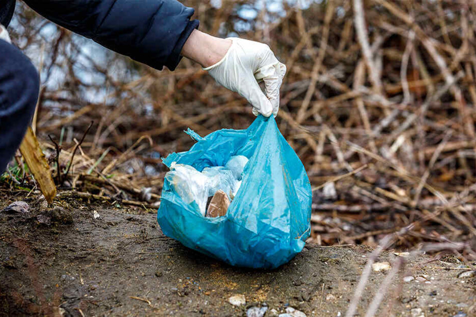 Die Tierkadaver befanden sich in zwei Plastiktüten. Die Fellhüllen waren teilweise zusammengerollt.