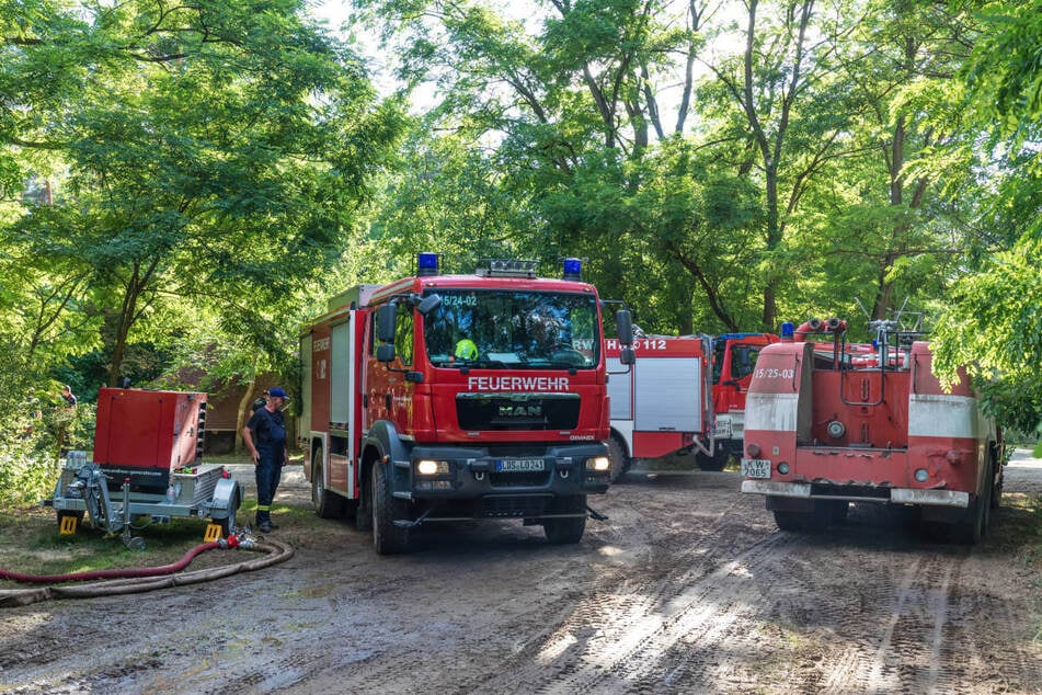 Die Brandenburger Feuerwehr musste im vergangenen Jahr zu mehr als 500 Waldbränden ausrücken. Ein neues Früherkennungssystem soll die Vorhersage erleichtern. (Archivfoto)