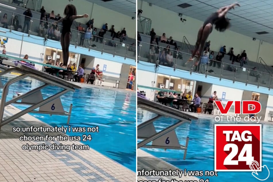 Today's Viral Video of the Day features a girl on TikTok that hilariously failed while jumping off a diving board!