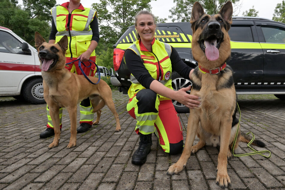 Auf den Hund gekommen: DLRG rettet jetzt auch an Land