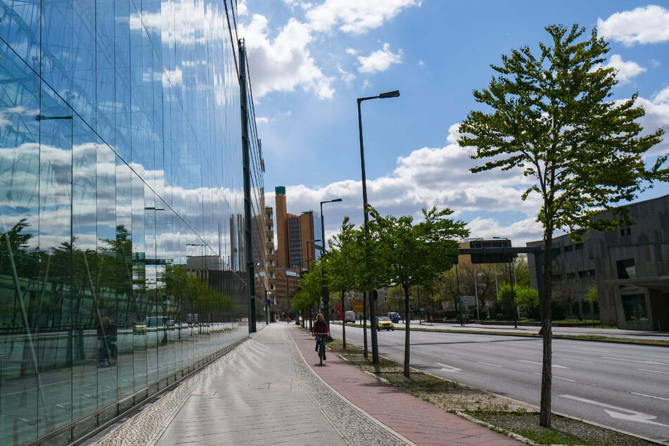Das Berliner Straßenbild könnte sich in Zukunft stark verändern, jedenfalls was den Baumbestand angeht, der besser gegen Hitze und Trockenheit gewappnet sein muss.