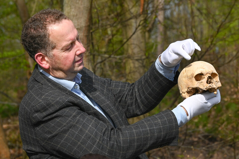Projektleiter Felix Biermann präsentierte am Samstag einen auf dem Gelände in Großwangen gefundenen Schädel.