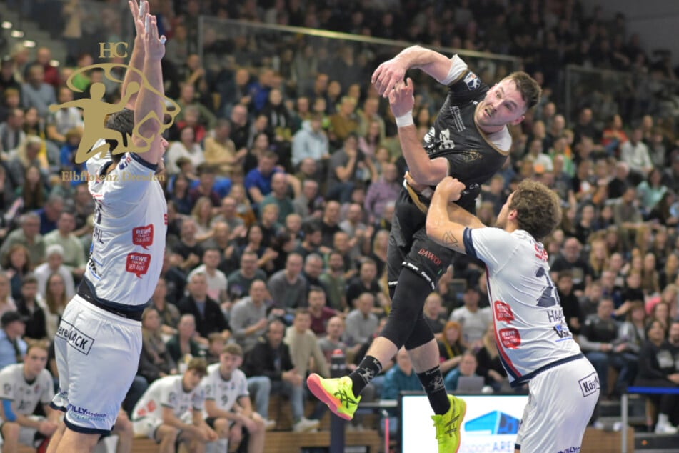Daheim noch ungeschlagen! Hartes Brett für den HC Elbflorenz