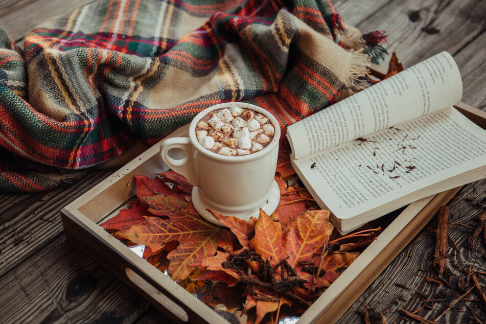 Fall reads: Fresh paperback books to kick off cozy reading season