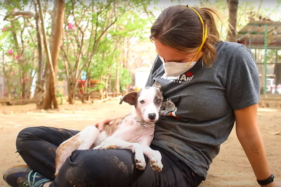 Today healthy and happy again: bitch Jewel with one of her carers.