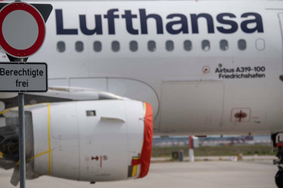 Lufthansa: Verhandlungen über Staatshilfe in Milliarden-Höhe bald abgeschlossen