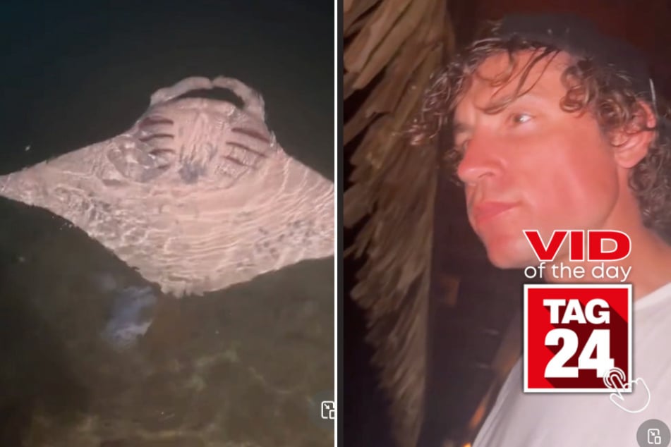 viral videos: Viral Video of the Day for June 11, 2024: Man catches sea creature doing unbelievable flips!