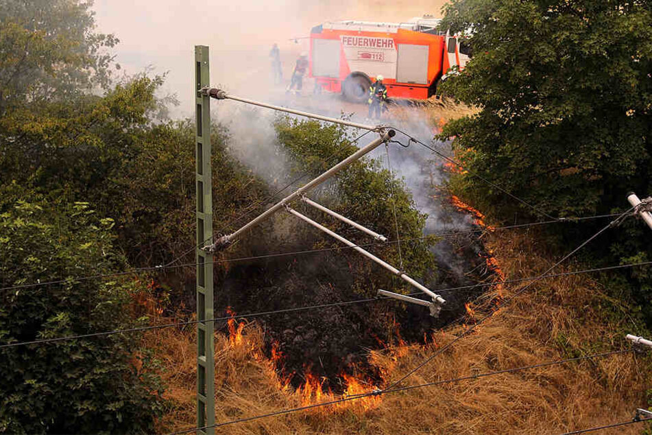 Die Feuerwehrleute hatten allerhand zu tun.