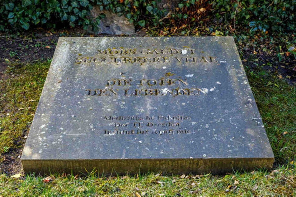 Auf dem Dresdner Trinitatisfriedhof werden die Körperspender anonym beigesetzt. Einmal im Jahr gibt es eine Trauerfeier für die Angehörigen. 