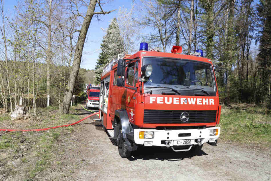 Die Chemnitzer Feuerwehr musste zu einem Waldbrand in Adelsberg ausrücken.