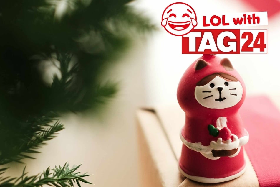 Joke of the Night for December 13, 2025: A Christmas cat funny