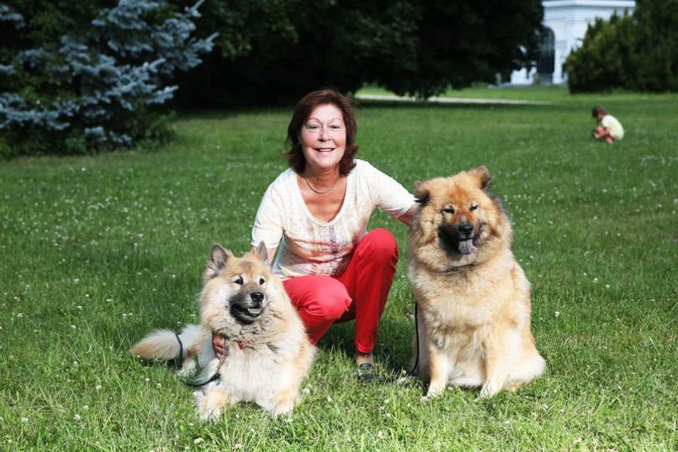 Züchterin Meißners „Eurasier“ entstanden durch die
gezielte Kreuzung von Wolfsspitz-Hündinnen und Chow-Chow-Rüden. Später wurden
noch Samojeden eingekreuzt.
