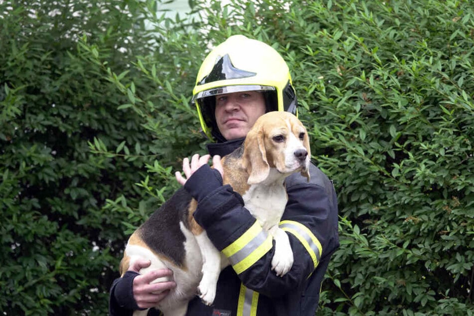 Feuerwehrchef René Kraus mit gerettetem Hund.