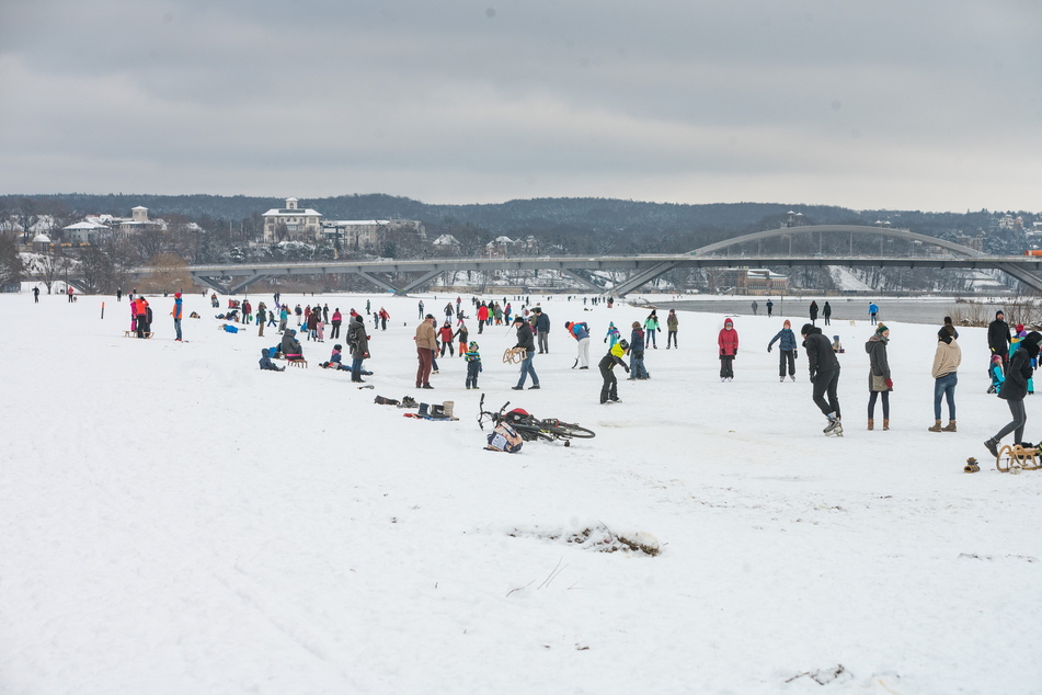 Zwischen Albert- und Waldschlößchenbrücke (Neustädter Seite) erfreut sich eine natürliche Eisfläche zunehmend großer Beliebtheit.