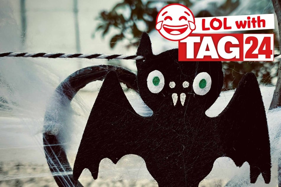 Joke of the Day for October 26, 2025: A batty silly for Spooky Season fun.