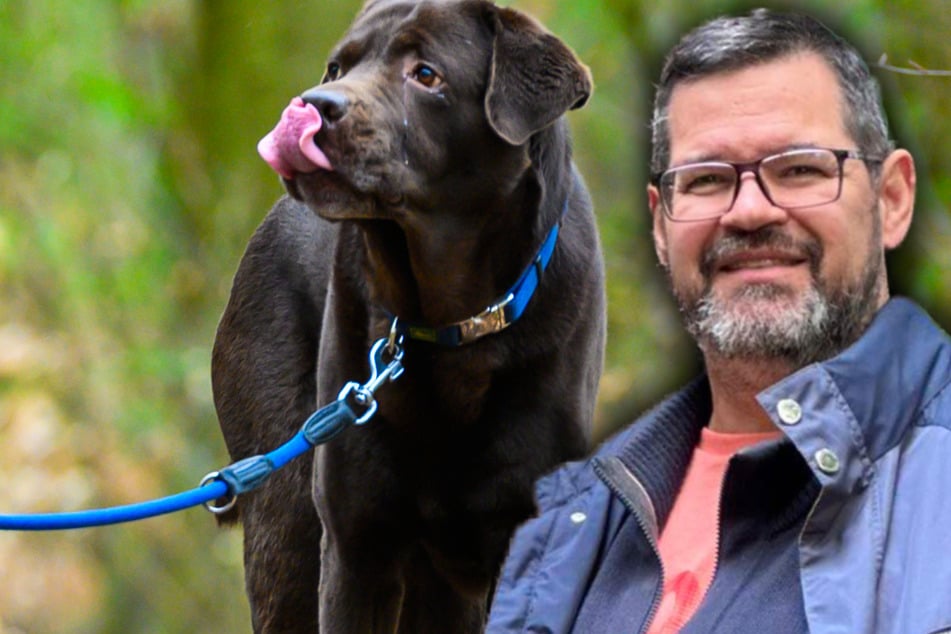 Aufruhr in Leipzig wegen Hundesteuer-Erhöhung: "Verbindlicher Beschluss liegt nicht vor!"