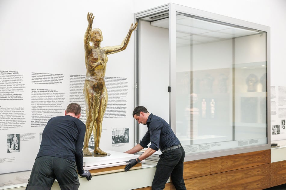 Am heutigen Montag kam die "Gläserne Frau" in ihr neues Zuhause - eine doppelt verglaste, klimatisierte Vitrine.