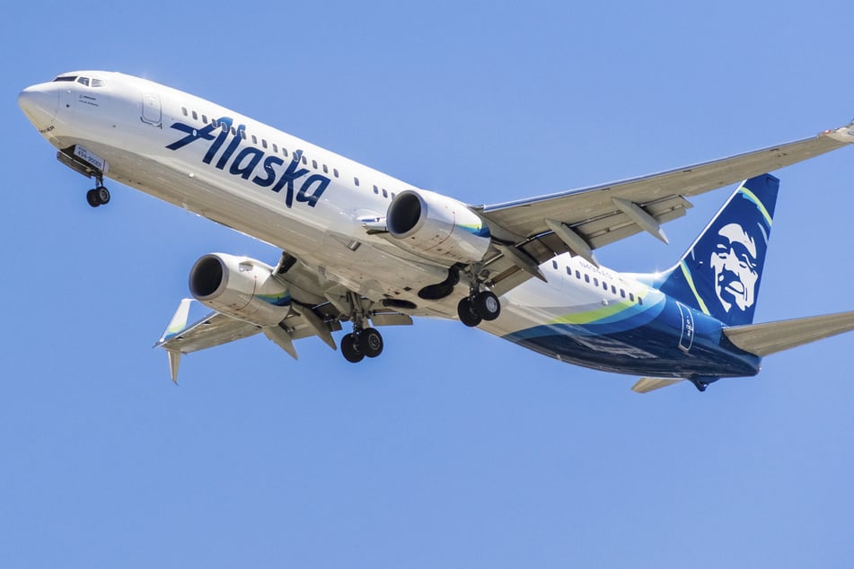 At "Alaska Airlines", an owner had to switch to economy with his dogs, which had fatal consequences for one of the pelt-noses. (symbolic image)