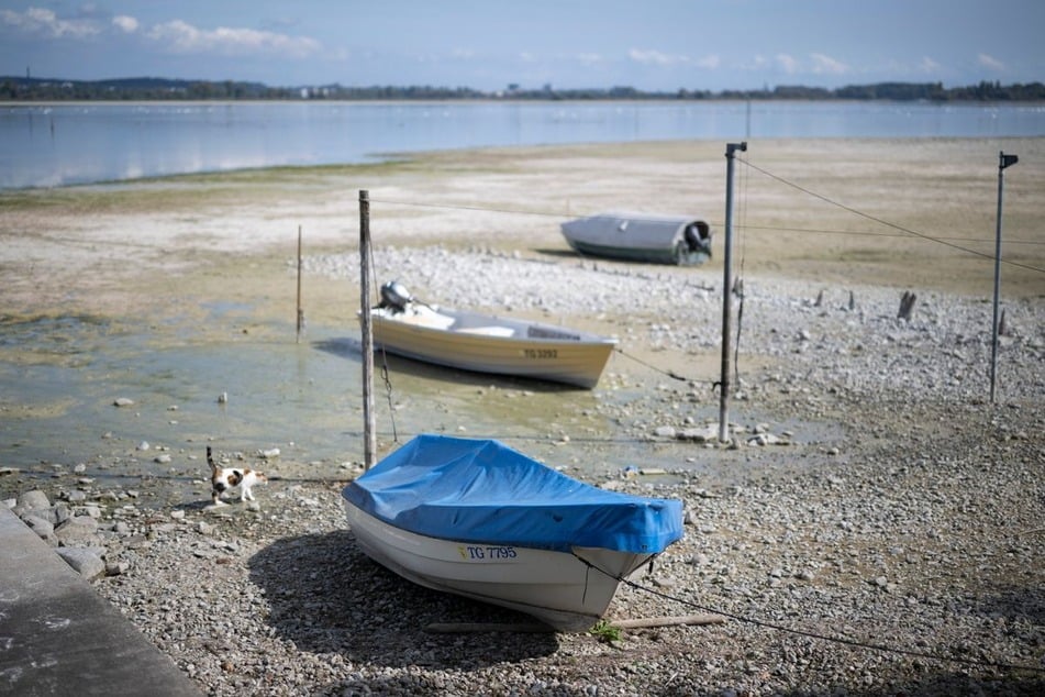 Am Wochenende wurden am Pegel Konstanz 2,49 Meter gemessen.