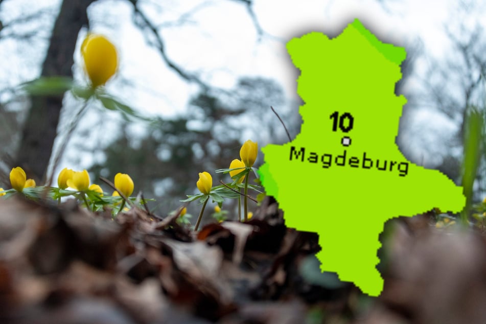 Die neue Woche wird in Magdeburg wechselhaft mit einem kleinen Temperaturrückgang.