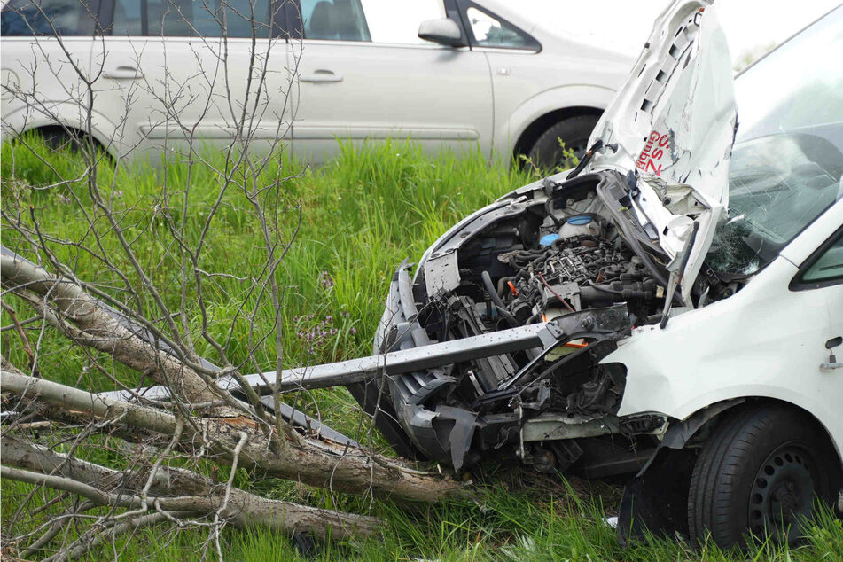 VW kracht in Baum und Geländer: Fahrer verletzt