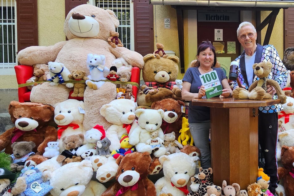 Dresden: Bärenstarke Aktion für tierisch guten Zweck: Wolle versteigert seine Teddy-Sammlung