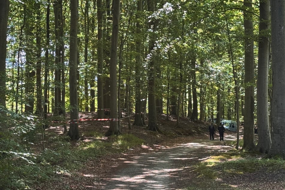Das Waldstück wurde von Einsatzkräften abgesucht.