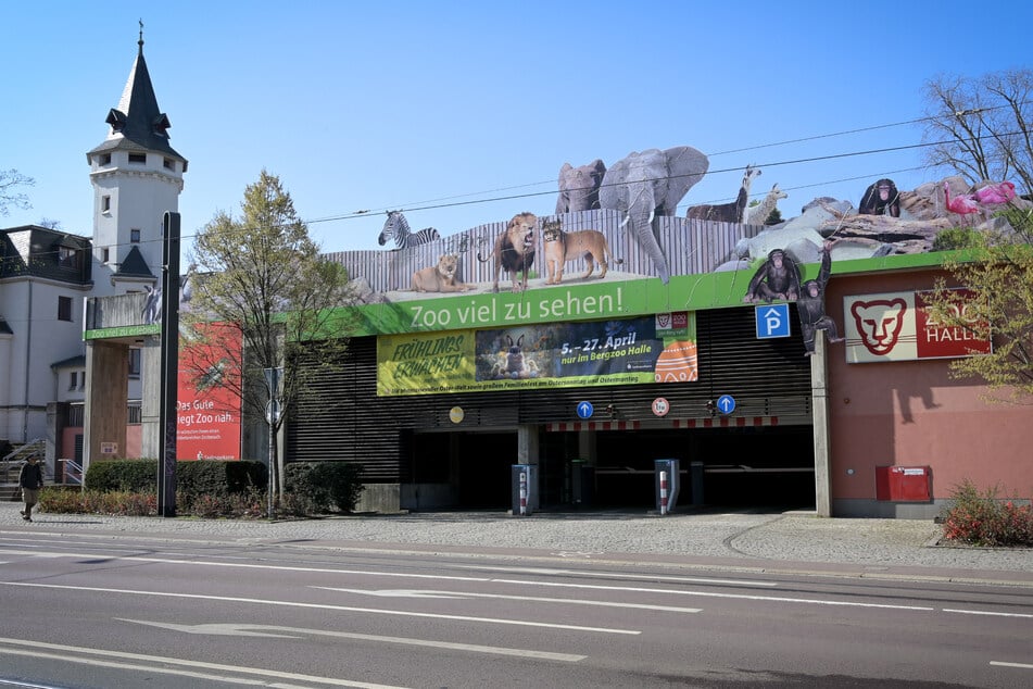 Etwa 1700 Tiere leben im Zoo auf dem Reilsberg in Halle.