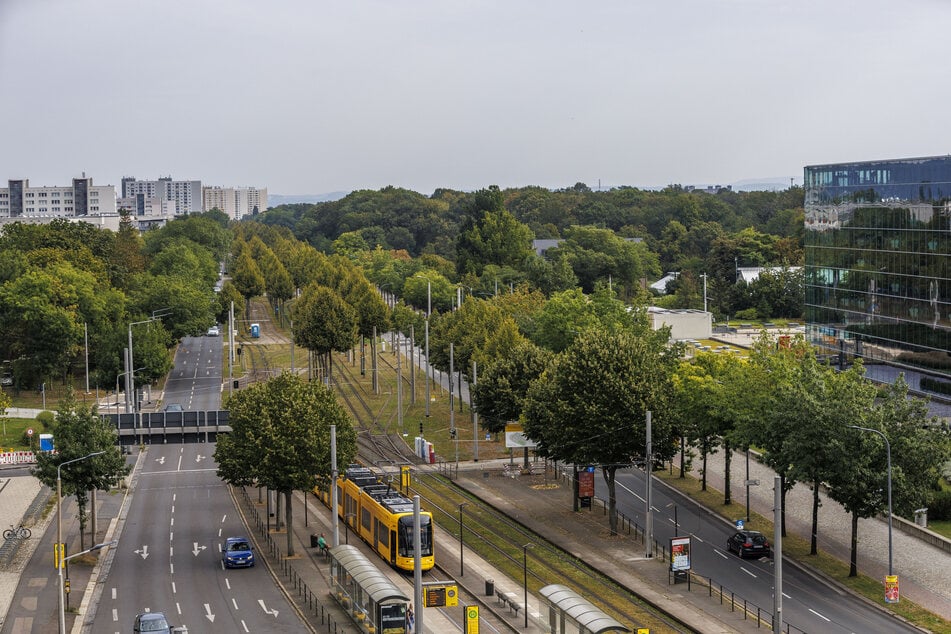 Auf der Stübelallee krachte ein Mitsubishi mit einer Straßenbahn zusammen. (Archivbild)