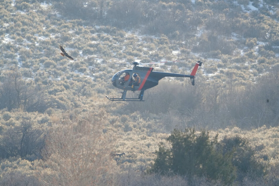 Der Hubschrauber schwingt sich für den Wildtier-Einsatz in die Lüfte.
