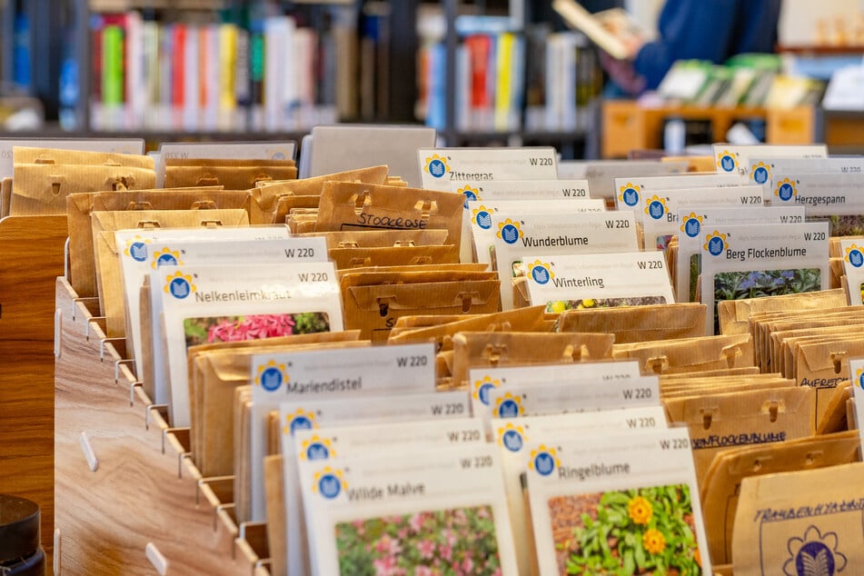 Dresden: Alte Sorten in der Tüte: Großer Samentausch im Kulturpalast