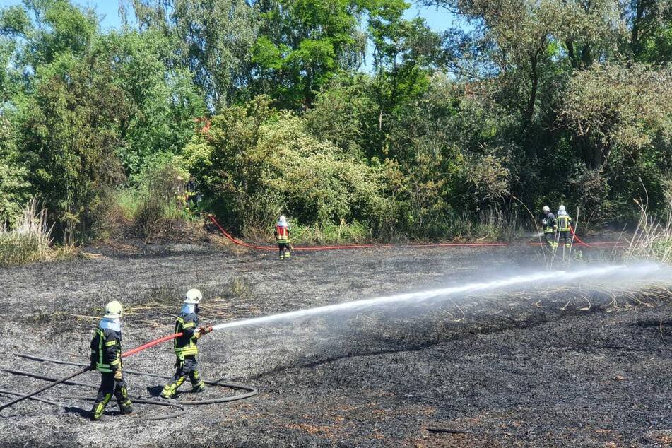 Die Feuerwehrleute löschten das Feuer im ausgetrockneten See.