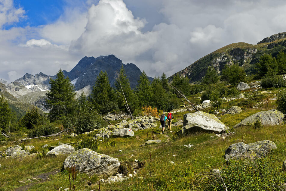 Das Wandern im Oberwallis ist zauberhaft. Die Wälder sind tief und Felsen und Steine am Wegesrand funkeln und schimmern, als ob Feen sie mit Glimmer und Glitzer bestäubt hätten.