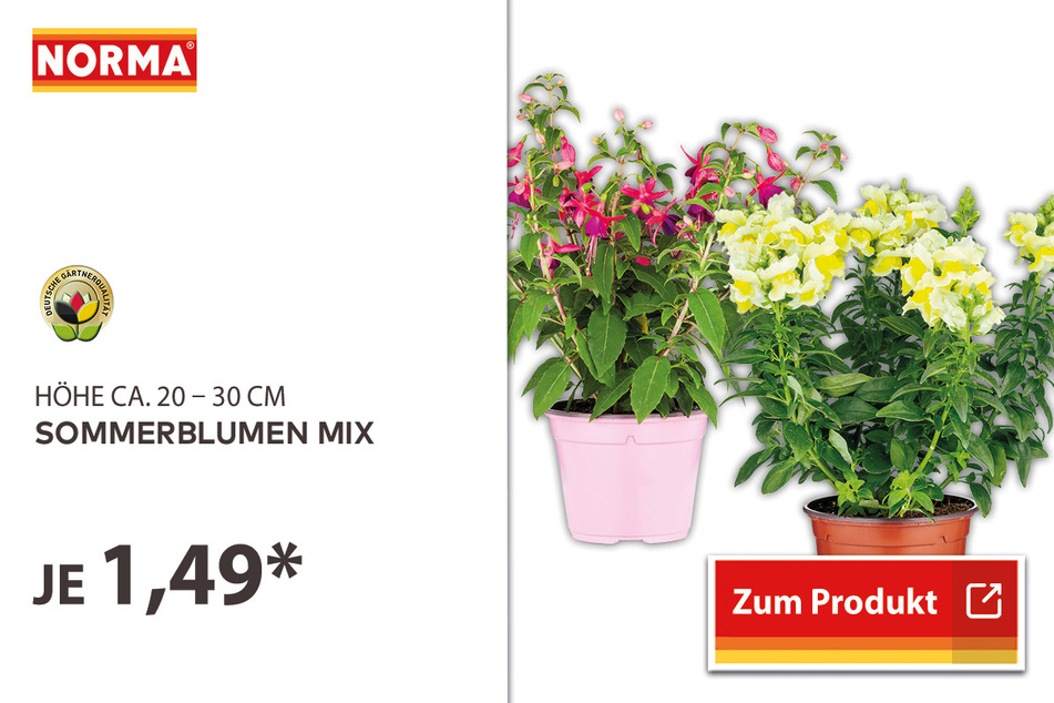 Sommerblumen Mix für 1,49 Euro