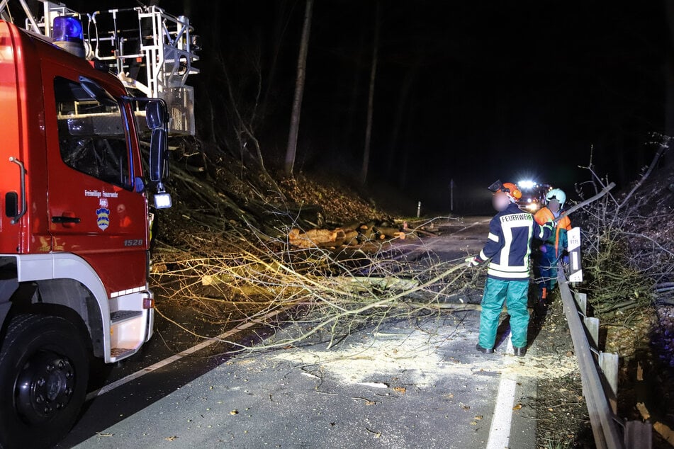 Die Feuerwehr musste in Aue-Bad Schlema mehrere Bäume von der Auer Talstraße entfernen.