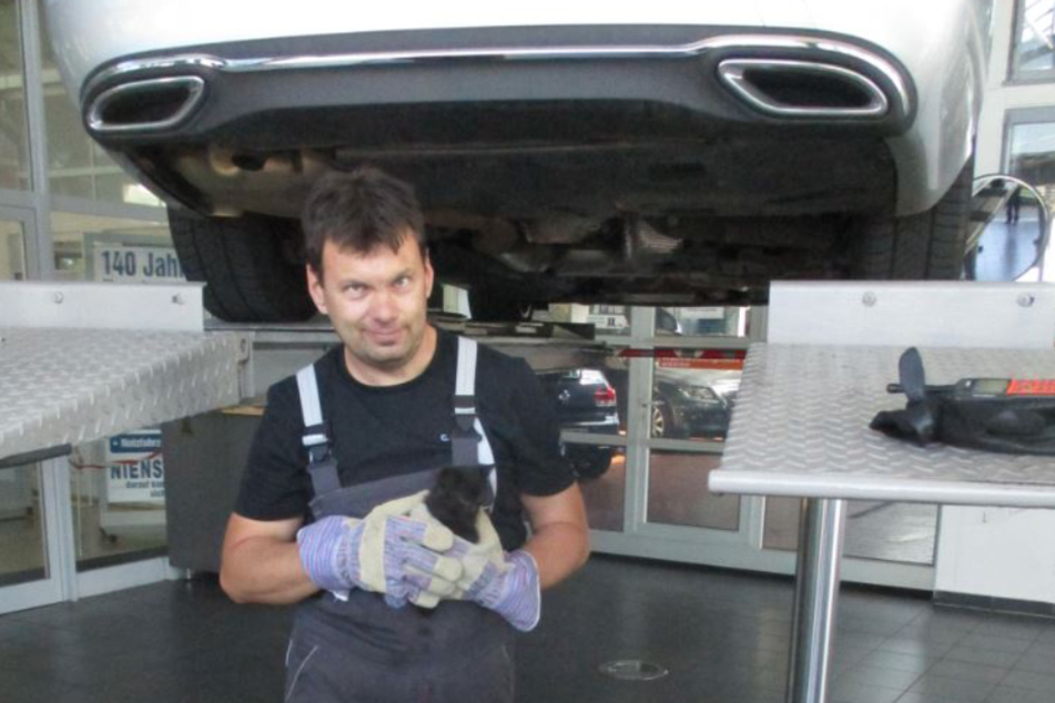 Der Mechaniker konnte das Kätzchen aus dem Auto befreien.