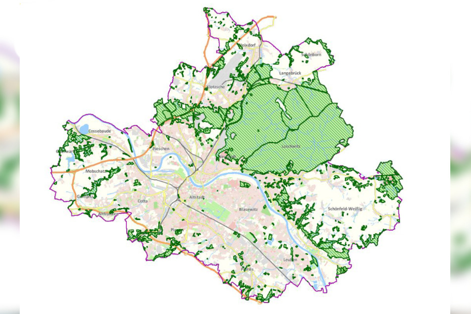 Auf einer Karte der Stadt Dresden sind die Wälder eingezeichnet.